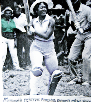 newspaper photo of people playing TV Tropic, a new segment of cricket which became popular in Handong after 1995.